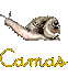 Camas